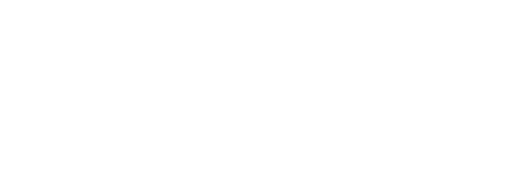 TechHouse